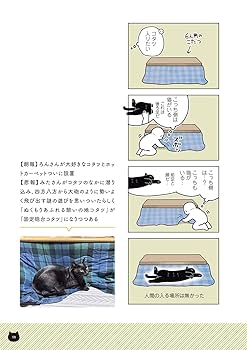 くろねこ 61oSWzok5nL._AC_UL210_SR210,